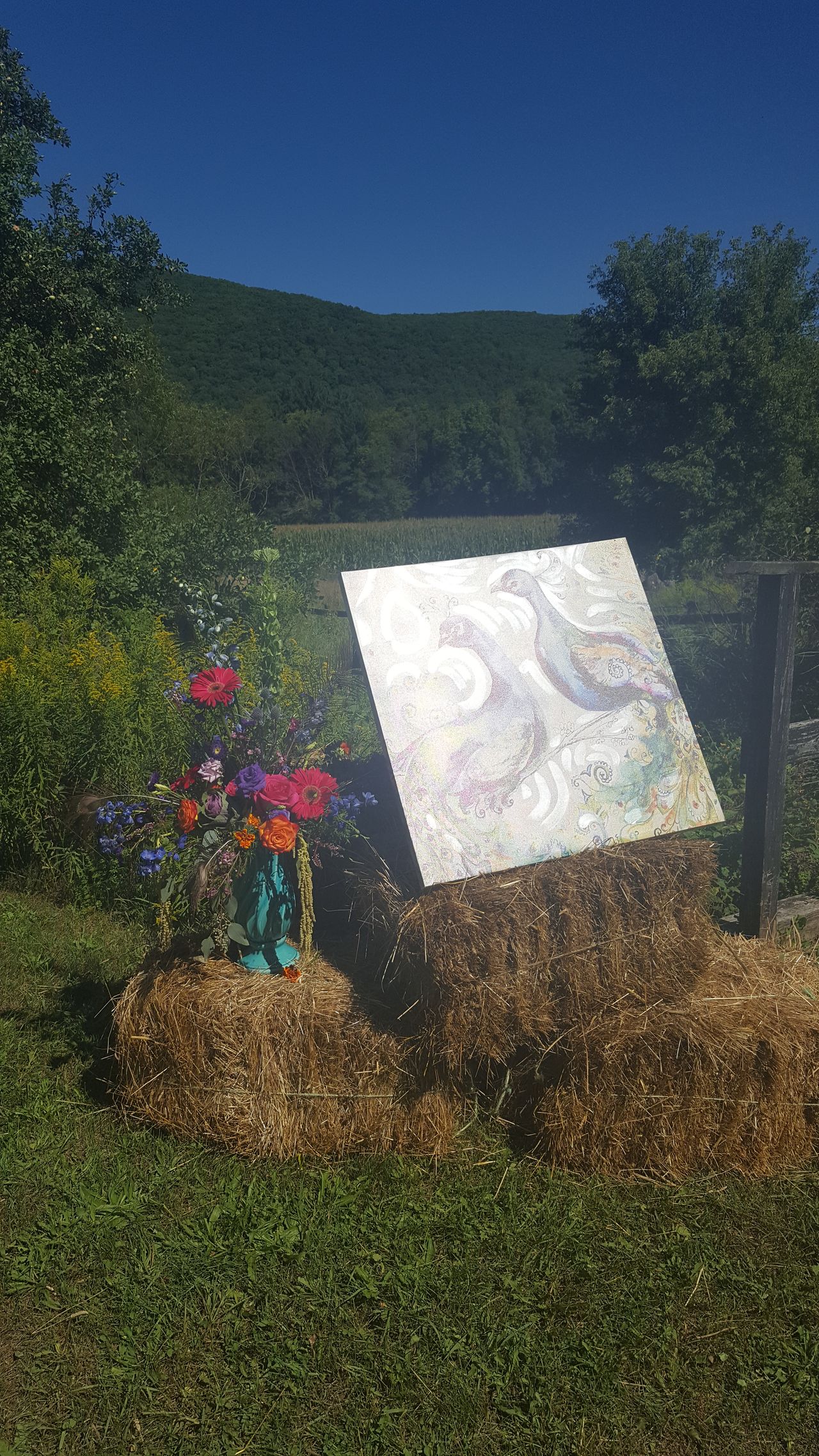 2016-09-03 OUTDOOR DECORATION (2)