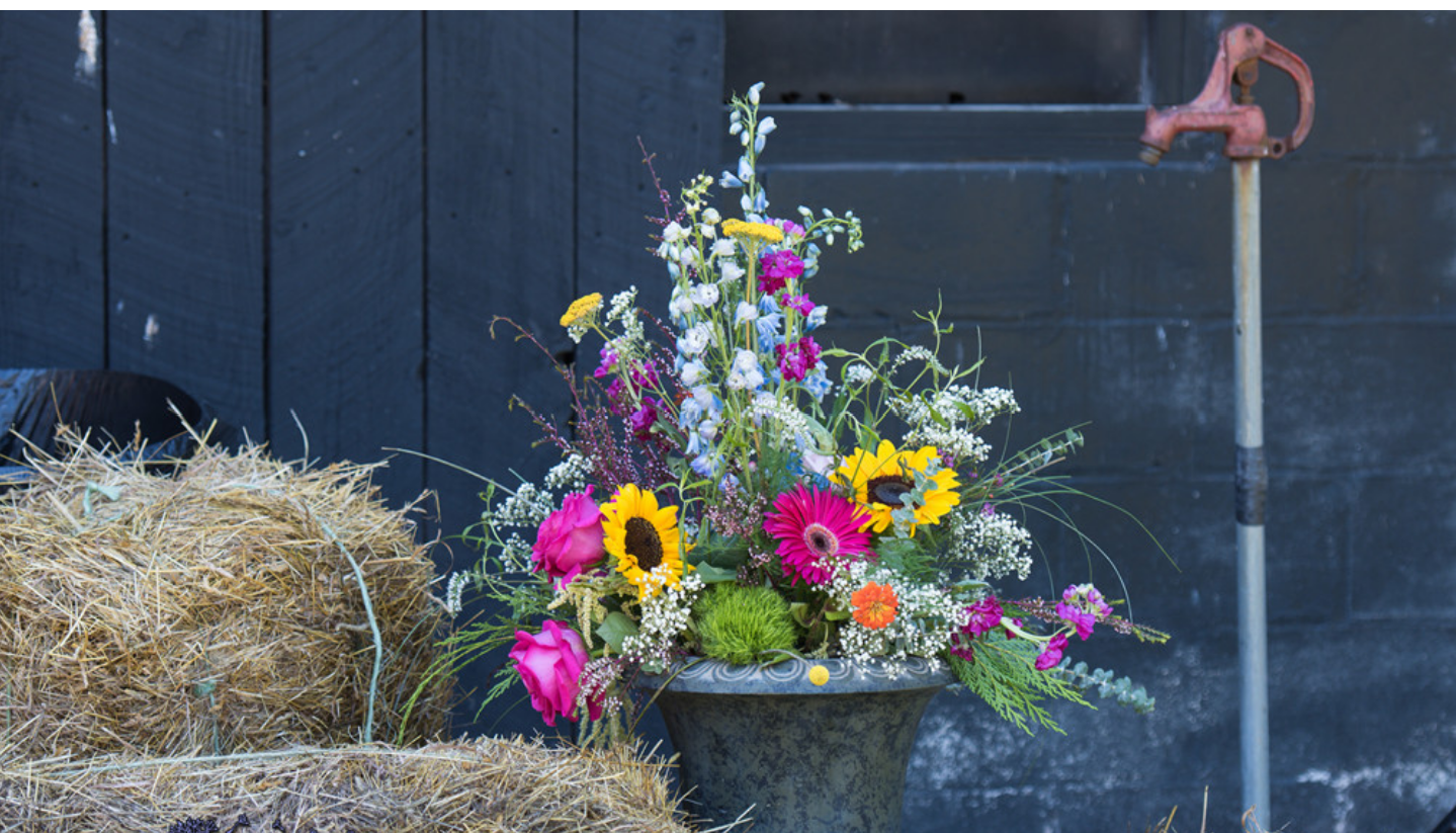 2016-09-03 OUTDOOR DECORATION