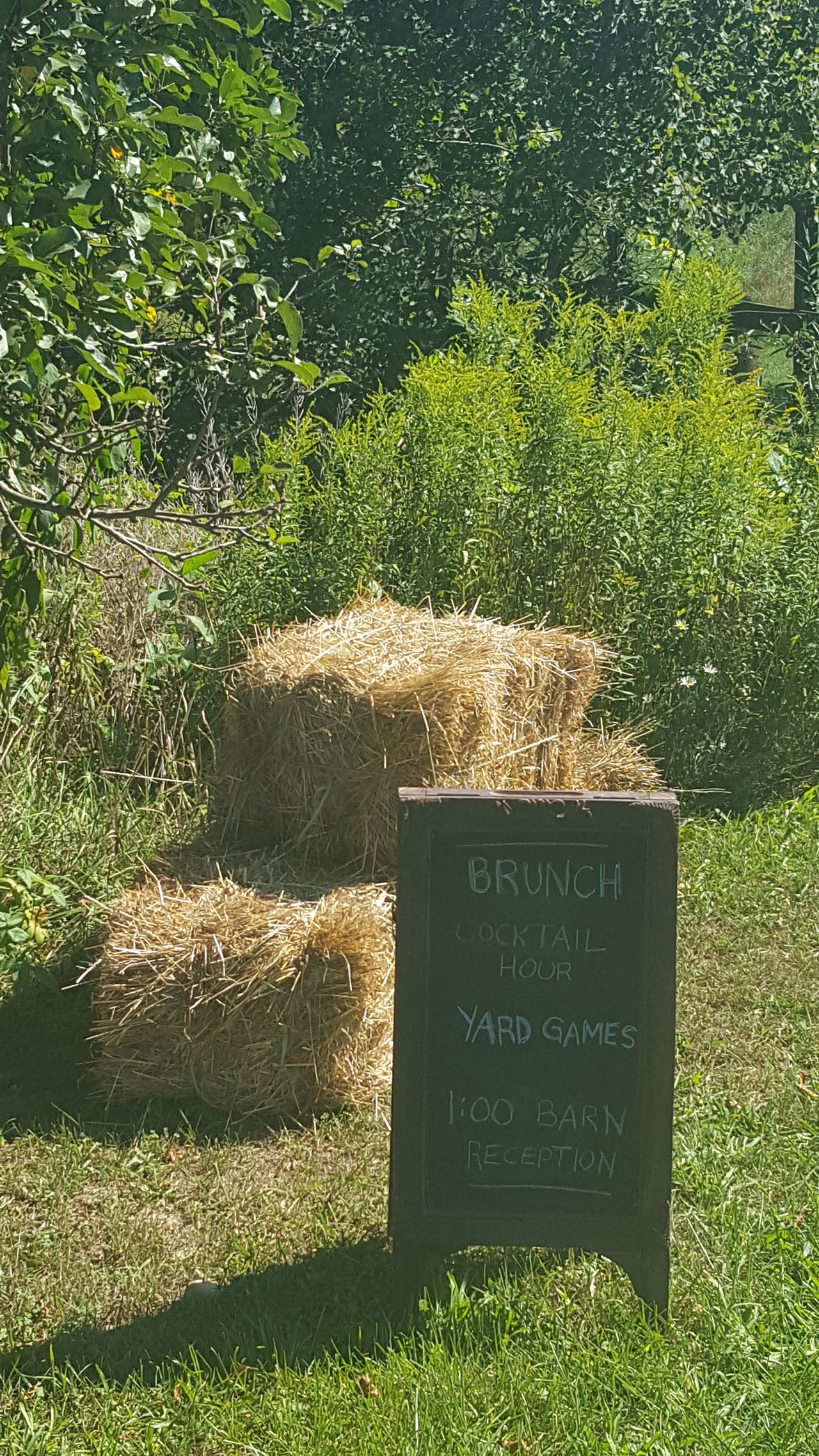 2016-09-03 OUTDOOR SIGN (2)