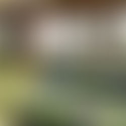 Bilder fra Minigolf-tur 8. april 2026