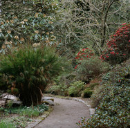 Inverewe Garden.jpeg