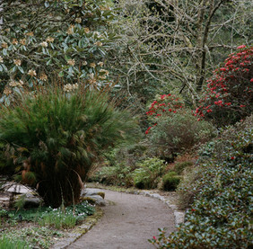 Inverewe Garden.jpeg