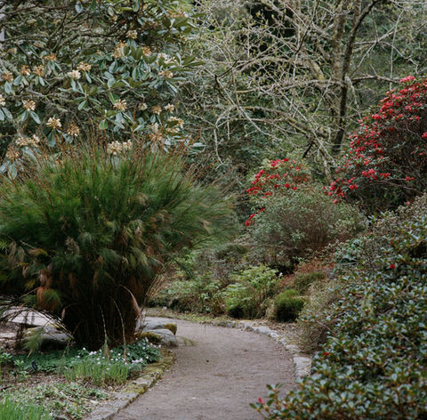 Inverewe Garden.jpeg
