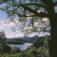 View from the garden 2.jpeg