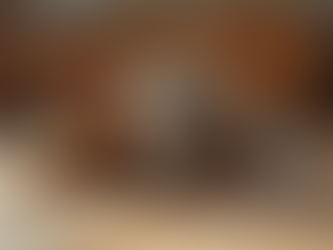 The Ultimate Dog Harness Selection Guide: Finding the Perfect Fit for Your Furry Friend