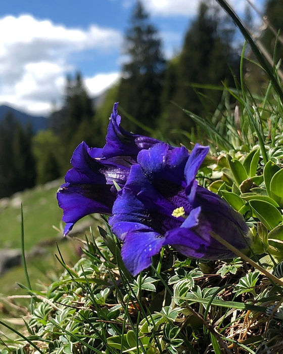 2CACECBE-9F48-45F4-9AB4-DAE13DF39E2E_1_1