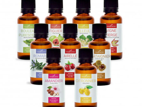 GEMMOTHERAPIE : Qu'est ce que c'est ?