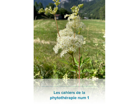 Le premier cahier de la phytothérapie