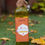 Thumbnail: Azaya Coconut Oil