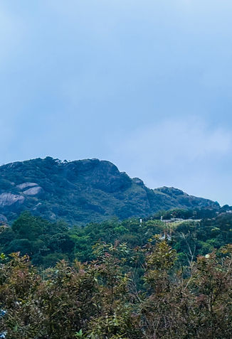 IMG_7349 2_edited.jpg