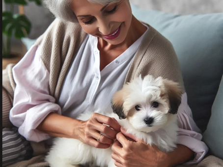 woman petting Habanese puppy created with AI 7/5/2025