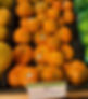 tangerines