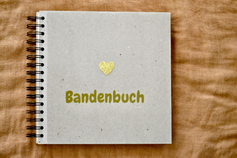Miniaturbild: Bandenbuch