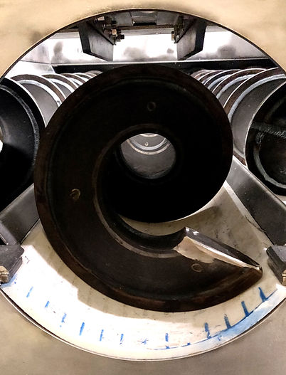 PHASE 1 (143)_edited.jpg