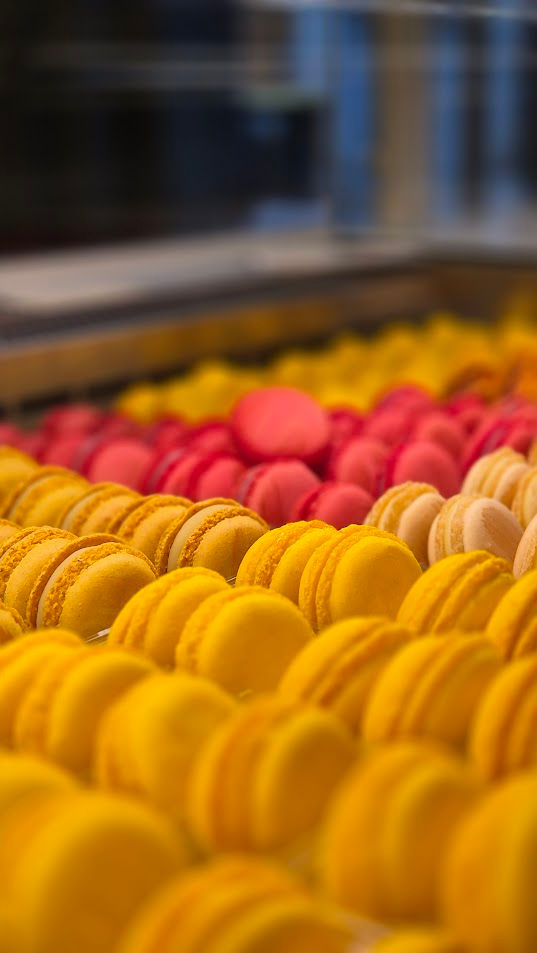 Arranged Food and Objects