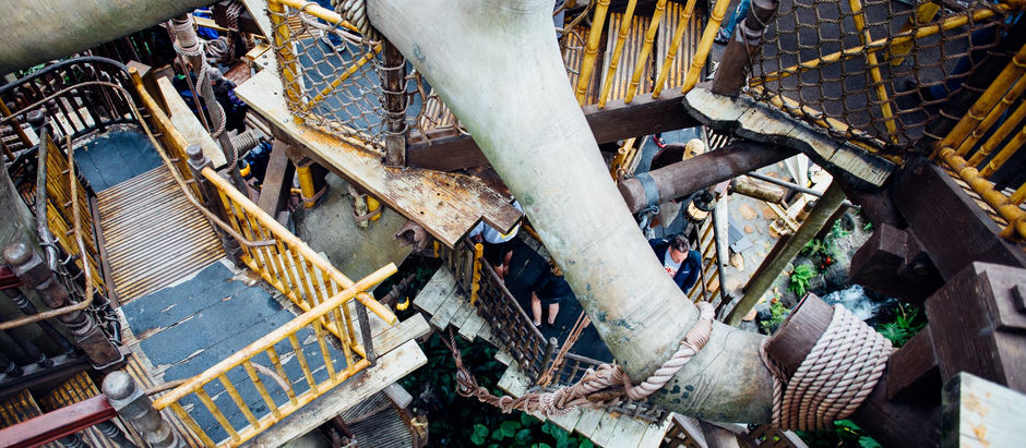Magical Photo Wednesday – Swiss Family Robinson Treehouse