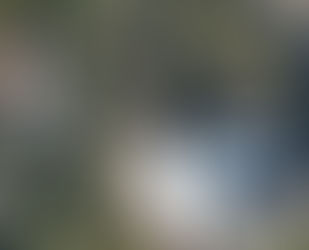 What’s Hiding At Disney’s Animal Kingdom Expedition Everest?