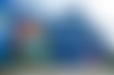 Choosing A Value Resort At Walt Disney World