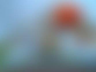 Astro Orbiter Flies Again at Walt Disney World Magic Kingdom