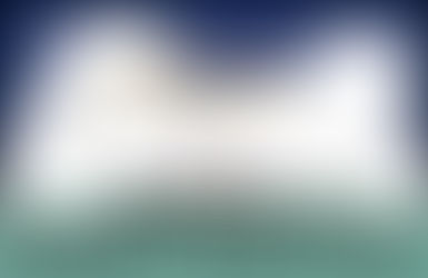 MMP Travel Joins Taking The Florida Plunge