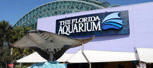 aquarium
