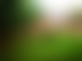 Expect the Unexpected…