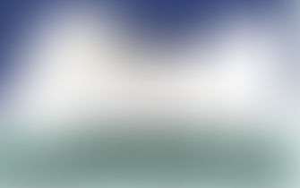 The Travel Agent and Client Partnership