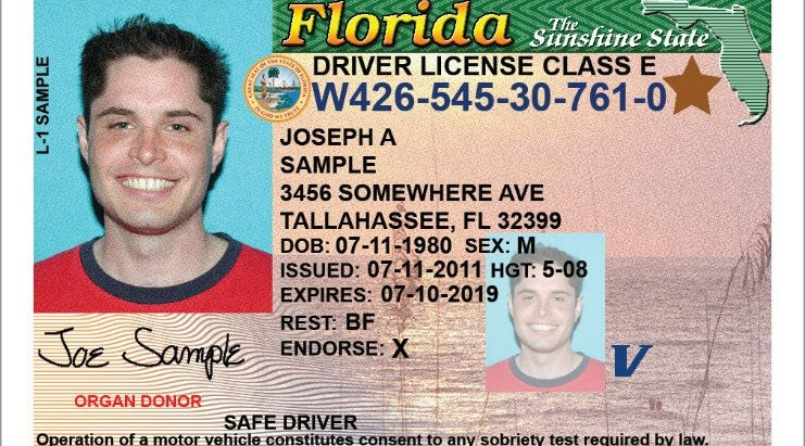 Florida Drivers License and Vehicle Registration