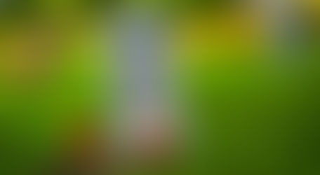 Celebrate Halloween at LEGOLAND Florida’s 3rd Annual Brick-or-Treat!