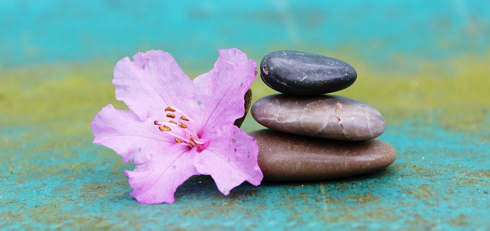 flower and stones