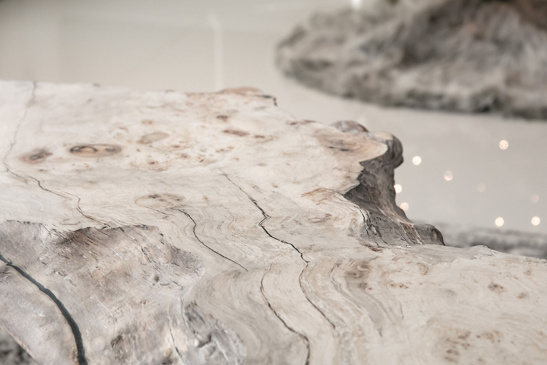 white waxed neutral modern coastal woodgrain