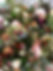 Feb2022-$30bouquet.jpeg