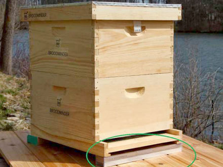 Antinanco Bee Action Pollinate Fundraiser's Mission Accomplished!