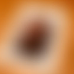 「なごみ」誌 2020年5月号