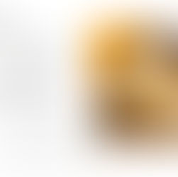 10/17更新「季節のメニュー」