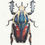 Thumbnail: Goliath - Original watercolour painting