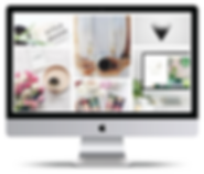 Social media management - Solute Digital