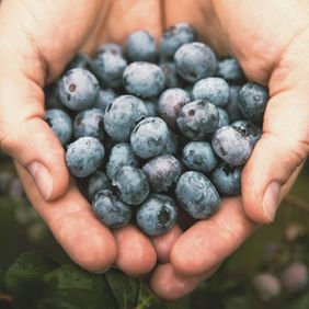 Untitled design (13).jpg