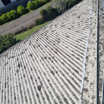 Roof washing and treatments - Hahei