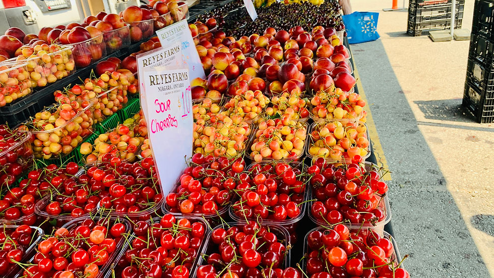 Reyes Farms - Every Sunday