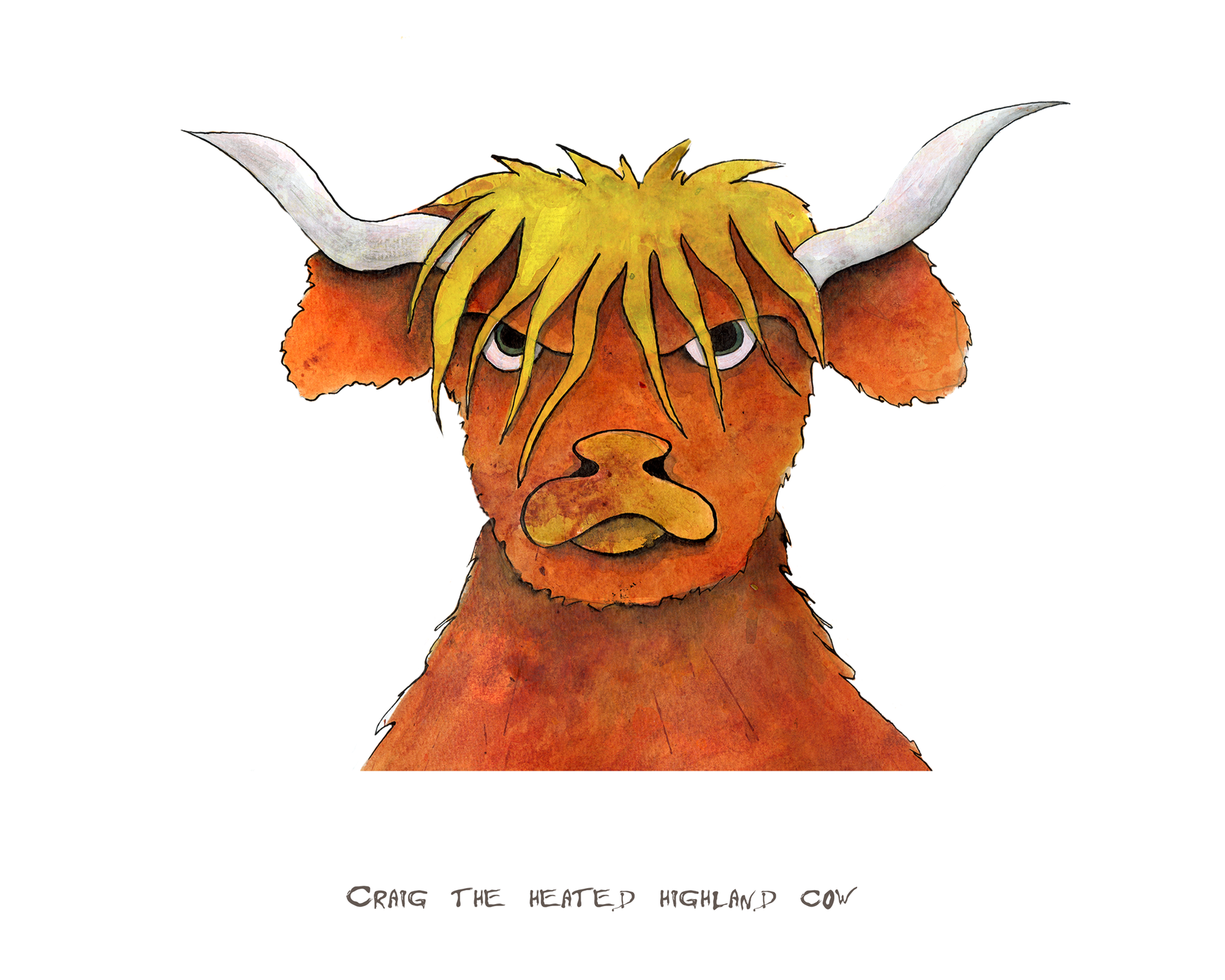 Craig the Heated Highland Cow