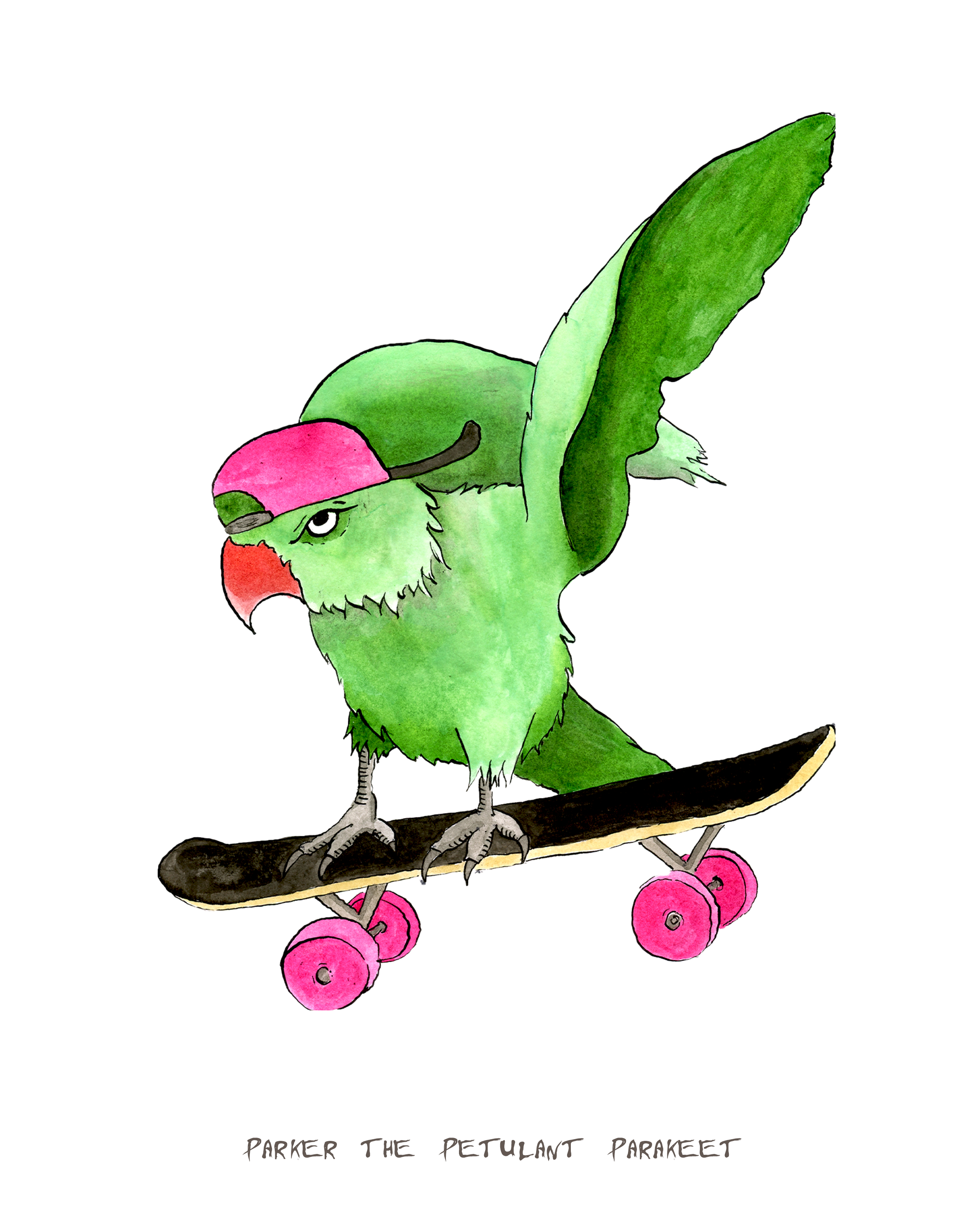 Parker the Petulant Parakeet - 8x10" Limited Edition Signed