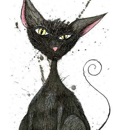 Mable Black Cat.jpg