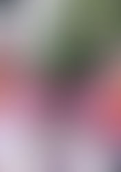 旗揚げ公演『ジョシ』