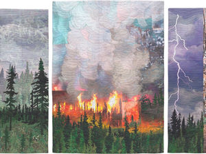 Boreal Forest Roulette featured in June at Stolen Summers on the National Mall