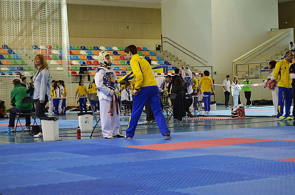 DSC_0382.JPG