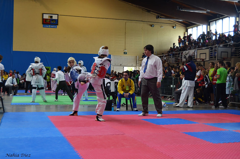 DSC_1027.JPG