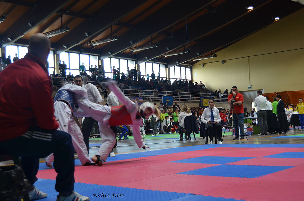 DSC_1005.JPG