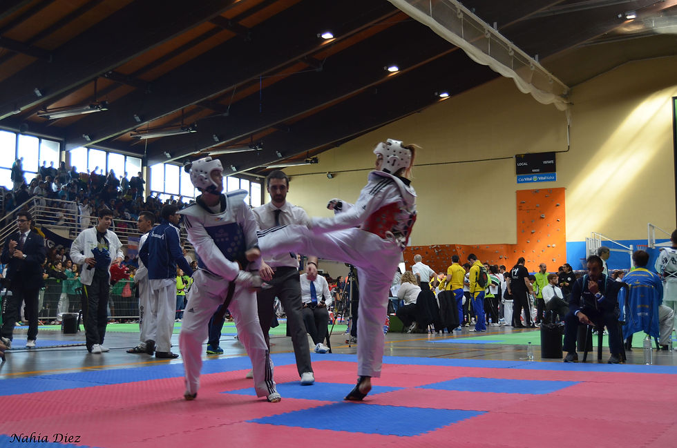 DSC_0984.JPG