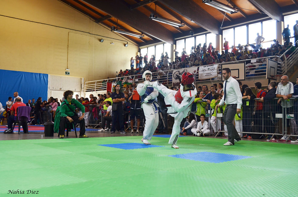 DSC_1062.JPG